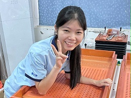 唯思特整列機：微小零件擺盤自動化核心設(shè)備，提升制造良率關(guān)鍵選擇