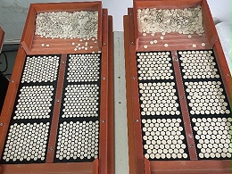 鋁箔墊片自動整列|應用案例