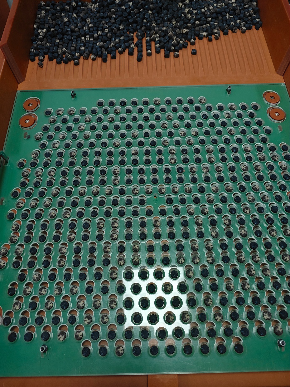 IMG_20240927_144040 IMG_20240927_144040